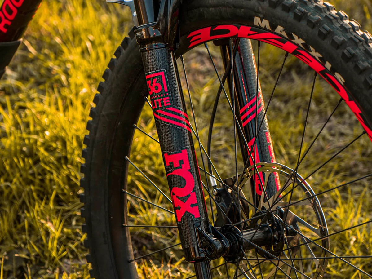 AMS HONEYCOMB FORK GUARD